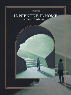 cover image of Il niente e il nome